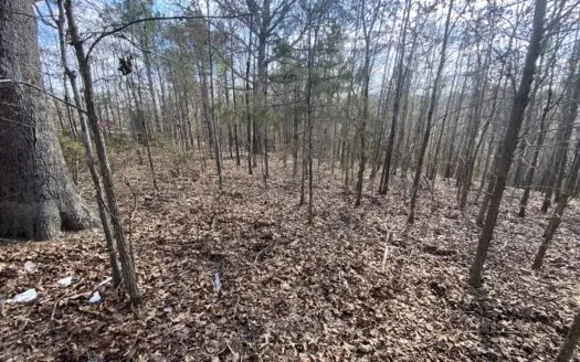 Newton County Land For Sale Near Buffalo National River