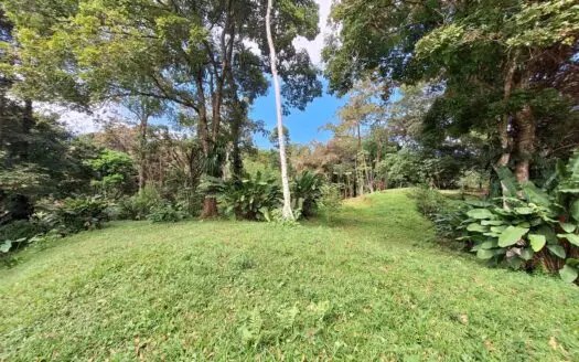Botanical Paradise – Bocas del Toro, Panama
