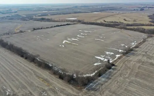 47 Acre Row Crop Farm, Taylor County, Iowa