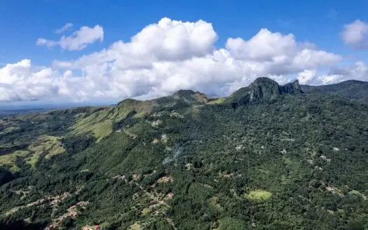 22 Hectares Riverfront Land for Sale | Altos del María | Panama