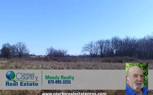 Land For Sale In Blytheville Arkansas