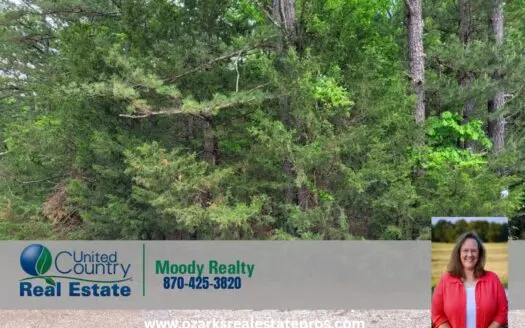 Vacant Lot In Sharp County Arkansas