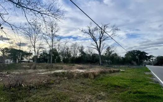 Prime In-Town Build Sites — Cottonwood, AL (Near Dothan)