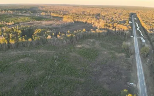 Large Acreage Tract, Hunting, Recreation, and Timber Investment