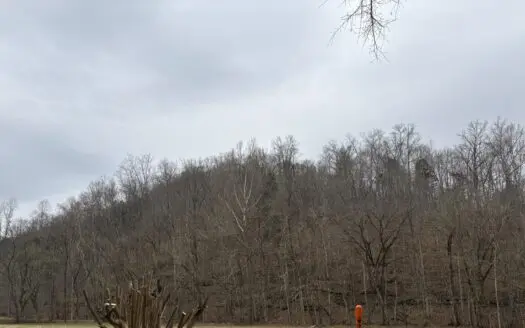 Hunting and Building Potential in Burkesville, Ky