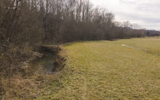 10 +/- acres For Sale in Rutledge, Tennessee