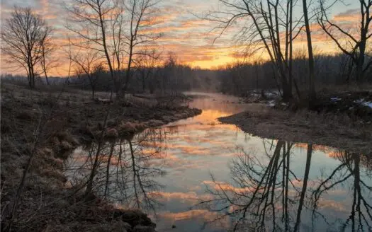 Green Forest 64+ Acres Farm & Hunting Land For Sale Carroll Co