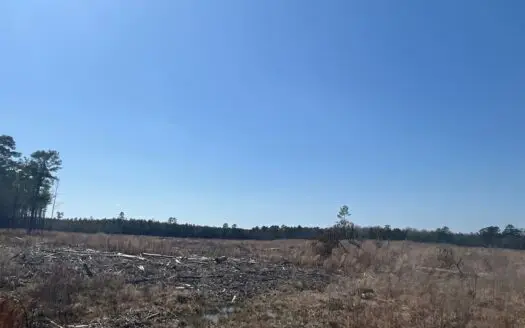 Land For Sale near Cullen, Louisiana