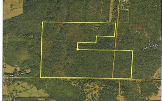 166 acres TIMBER/HUNTING RETREAT in Scott County
