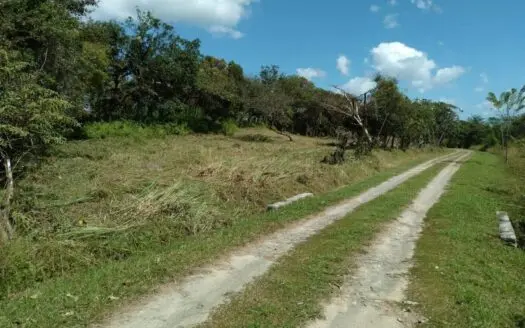 Lot For Sale In El Espino San Carlos Panama