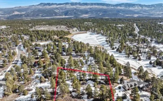 Build Your Dream Mountain Escape in Ridgway, Colorado