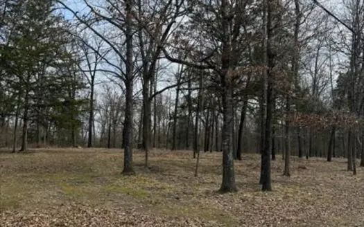 5.3 Acres Land Property Near Bull Shoals Lake, Lead Hill For Sale