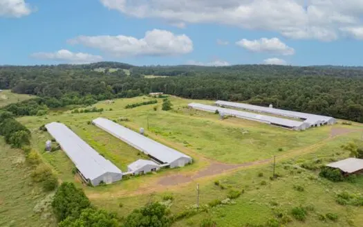 4 House Breeder Farm For Sale in Center, Tx