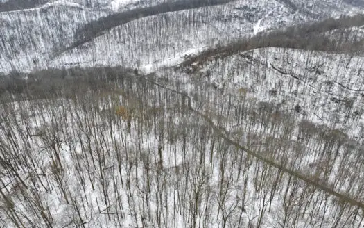 Timberland Property bordering Wayne National Forest with Road Fro