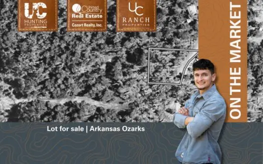 Lot for sale in Baxter County, Arkansas | Salesville