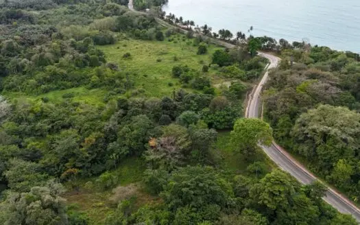 Sea-View Tax-Free ROP Land – Drago, Bocas del Toro, Panama