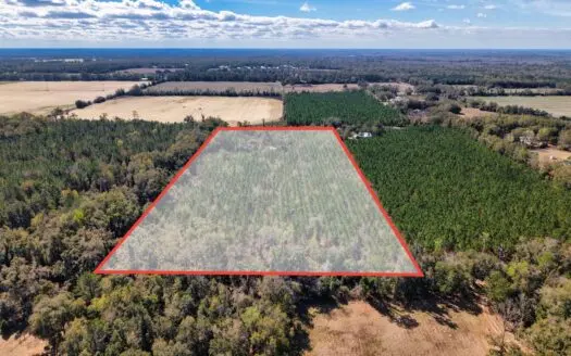 Almost 17 Acres Of Planted Pines In Gilchrist County Florida