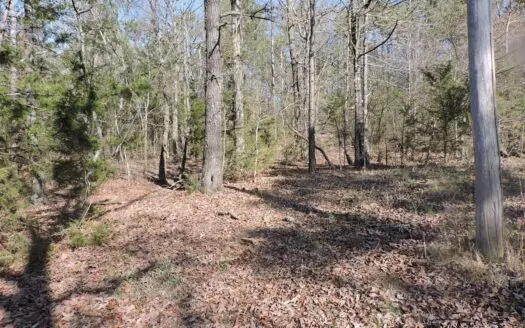 5.38 Acres – Scenic Land Near the Ouachita Mountains