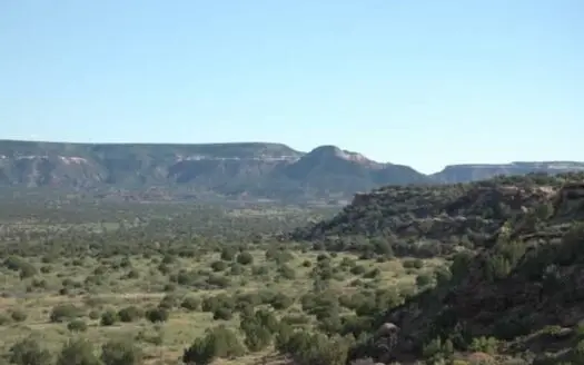 140+ Acres in Bull Canyon Ranches For Sale in Guadalupe Co