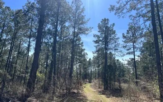 Sportmans Dream Property Ouachita County, AR!