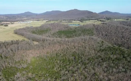 Small Cabin on 21+ Acres Land Marble Falls For Sale Newton Co