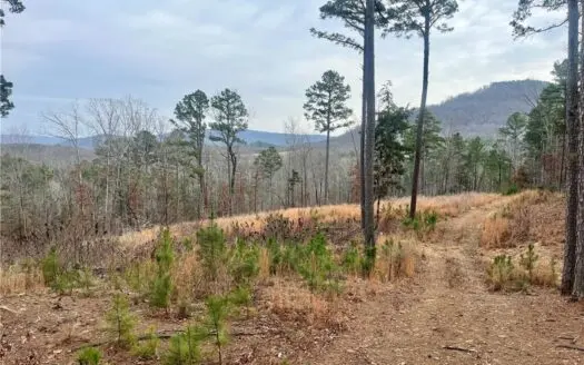 32.62 Acres/Land For Sale Newton County South of Jasper, Ar