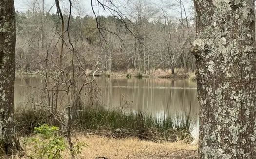 Prime Hunting Land for Sale in Columbia County, AR