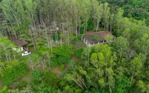32 Hectares reforested land with waterfalls | Laguna San Carlos