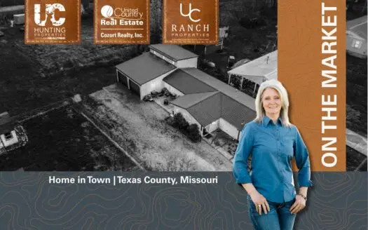 Home in Town in the Missouri Ozarks | Summersville