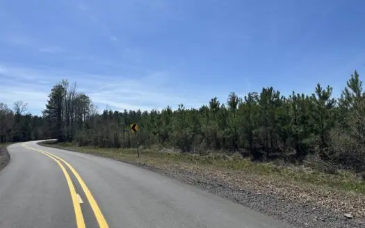 Prime Timberland Investment Land for Sale!