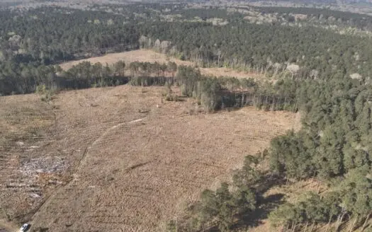 Multi-Use Timberland Property for Sale!