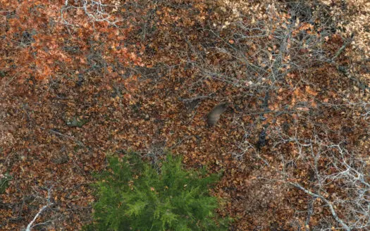 Land For Sale Carthage Missouri