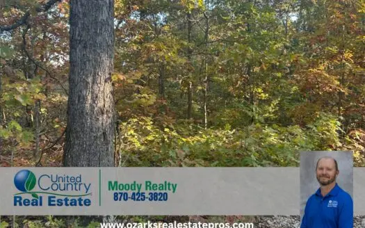 Acreage For Sale In Henderson Arkansas