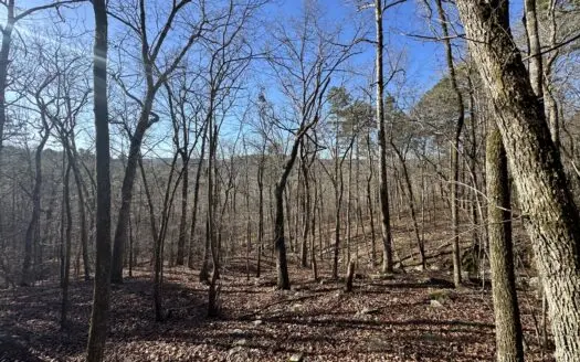 Secluded 9.62+/- Acres near Greers Ferry Lake For Sale in Prim AR