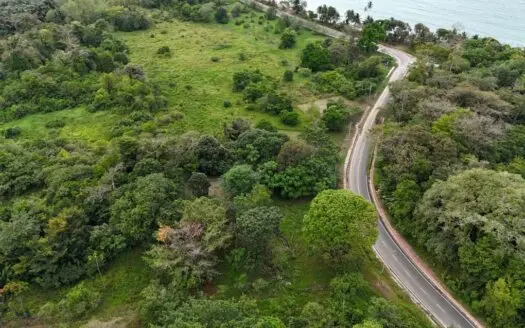 Sea-View Tax-Free ROP Land – Drago, Bocas del Toro, Panama