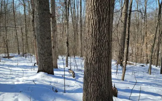 Monroe County OH 80 +/- acres Hunting/Recreational Land