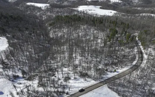 Woodsfield 60 +/- Acres of Hunting Land at Auction