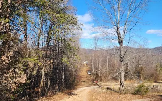 Small Lot for Sale in Taylorsville NC