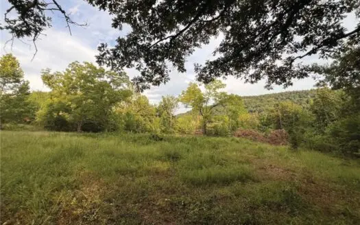 7.87 Wooded Acres Ozark Mountains Harrison For Sale