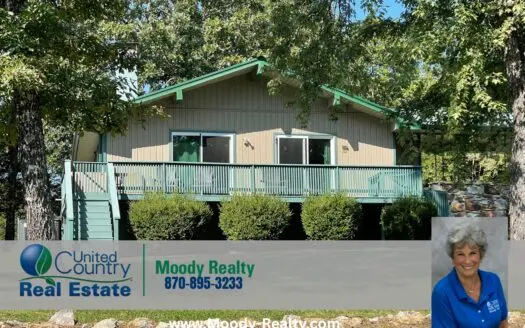 Charming Home With A Lakeview In Horseshoe Bend Arkansas