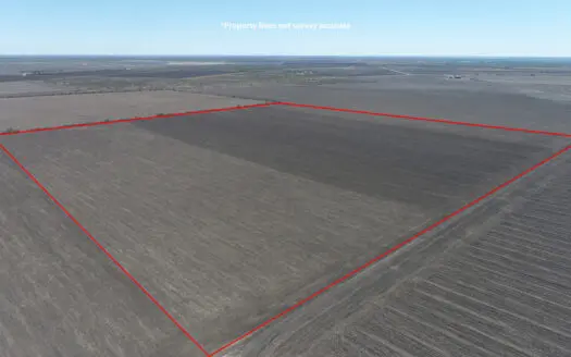 Productive Farm for Sale In Bee & Live Oak Counties, TX