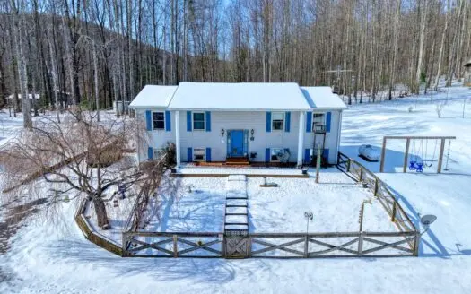 Country Home and Land for Sale in Floyd, VA