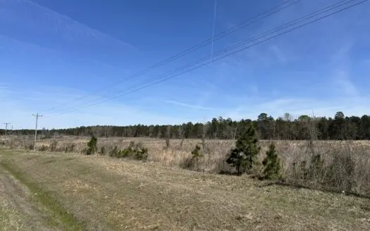 Land For Sale in Johnsville, AR