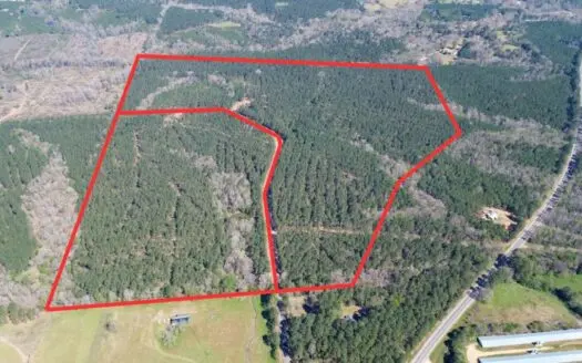 Northeast Lincoln Parish Timberland for Sale
