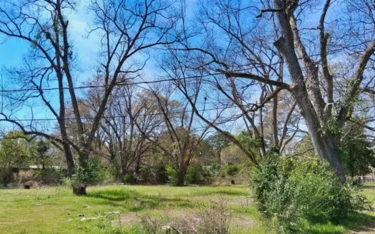 1.24 Acre Corner Lot, Multi-Home Potential, Pecan Trees