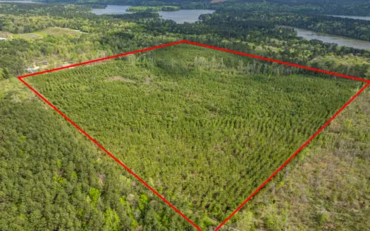 Timber land boarding Lake Degray