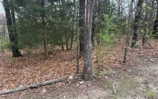 Ridgedale Missouri Building Lot Ozarks Paradise Village For Sale