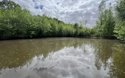 6.99+/- Wooded Acres with Pond For Sale in Higginson, AR