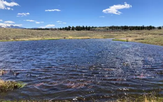 Waterfront Land for Sale on 40 Acres in Placerville, Colorado