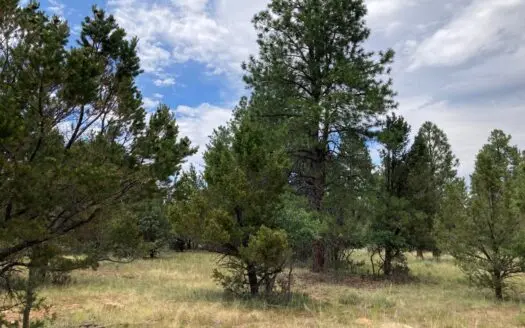 Prime Golf Course Lot for Sale In Divide Ranch Ridgway, CO